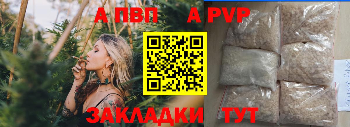 Альфа ПВП СК Тосно